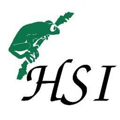 HSI logo