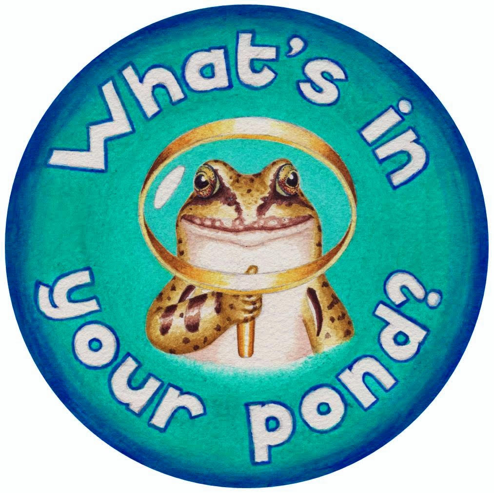 Whats in your pond logo Final to use