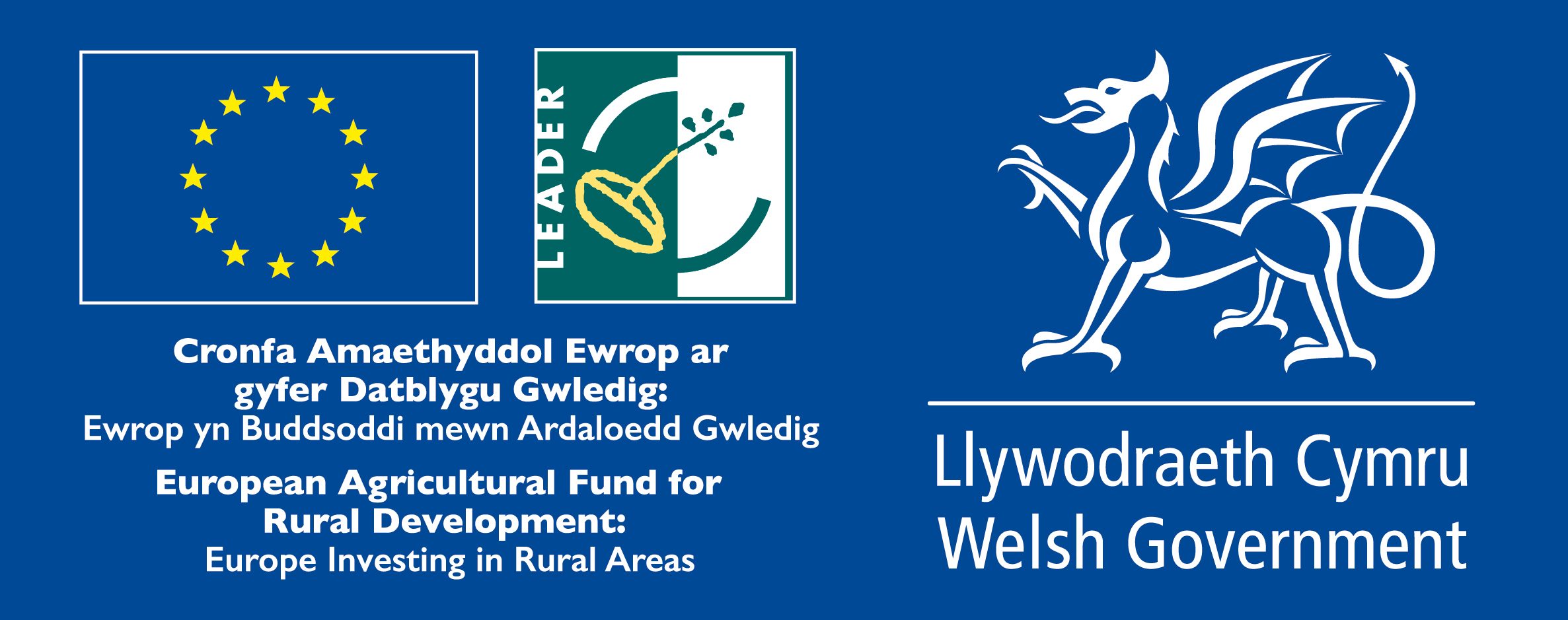 WElsh govt logo